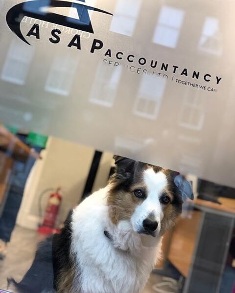 ASAP Accountancy Services Ltd