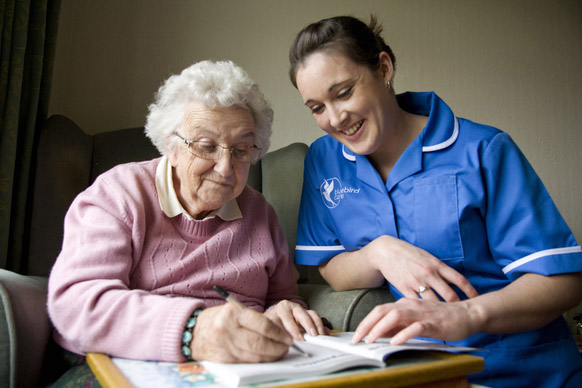 Bluebird Care (Hounslow)