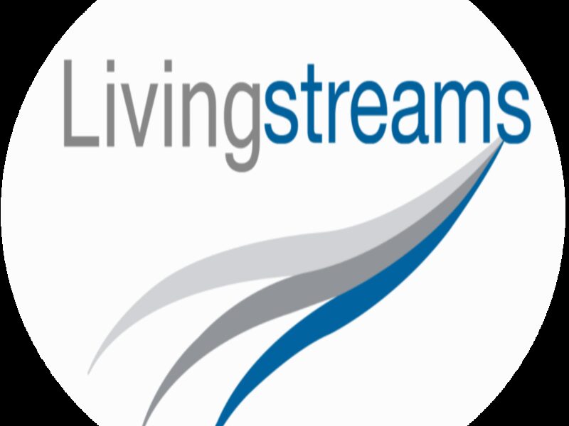 SEO & Google Ads specialist – Living Streams Digital Marketing Consultancy