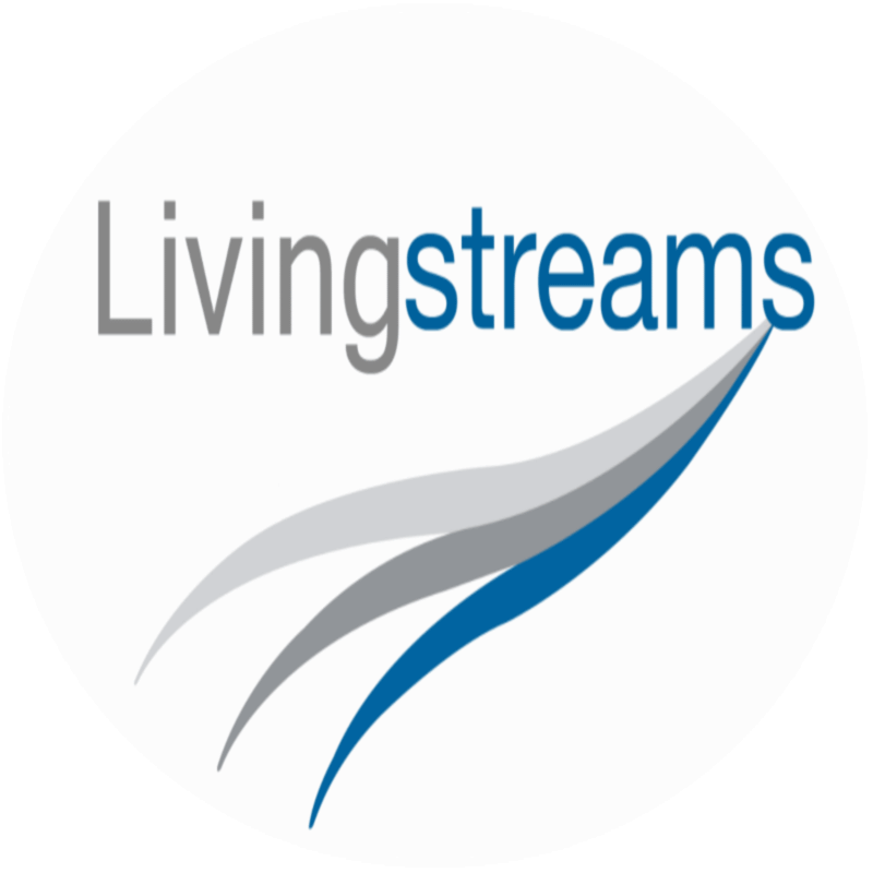 SEO & Google Ads specialist – Living Streams Digital Marketing Consultancy